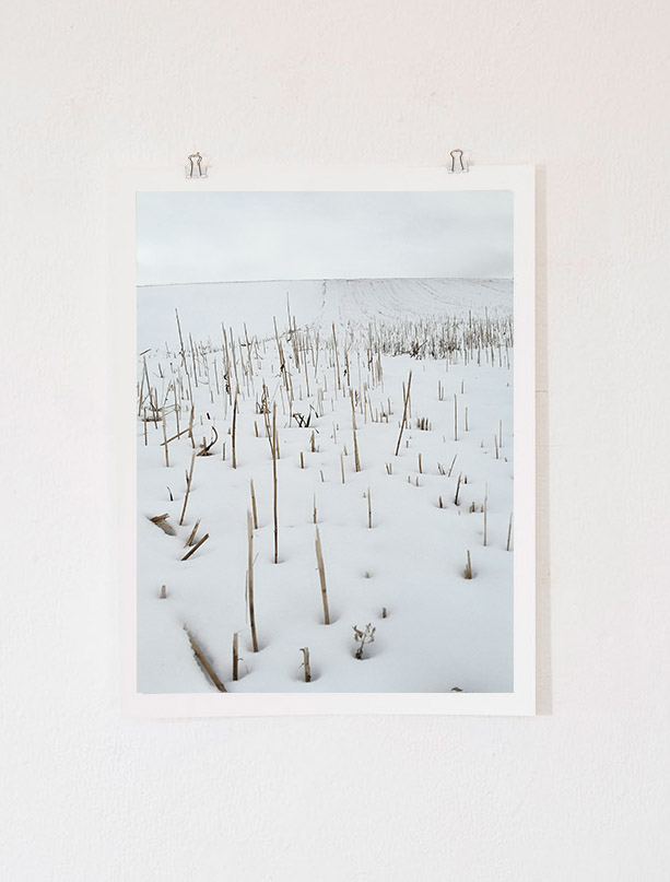 Iris Merkle & Robert Spychala – ODRADEK