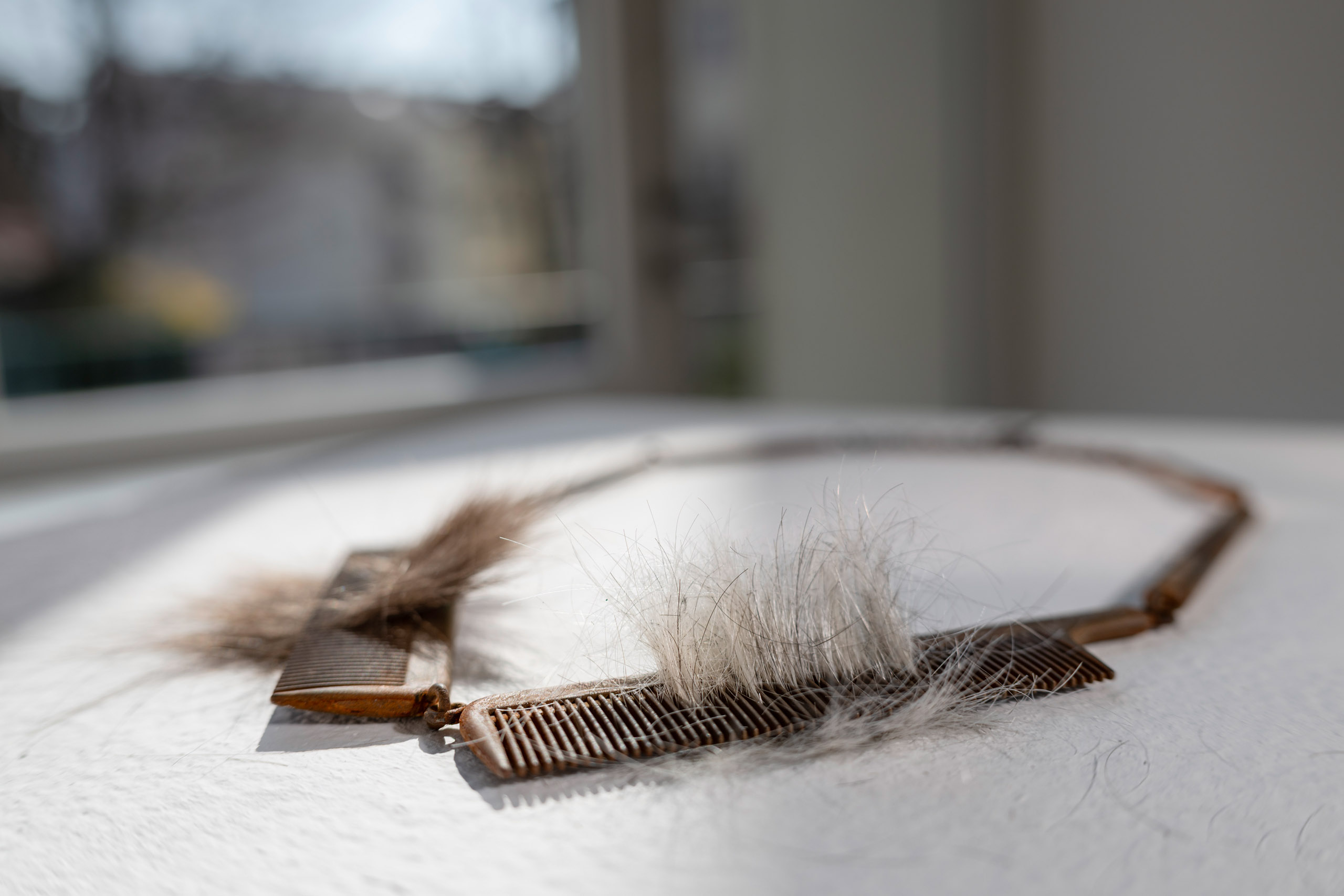 Iris Merkle Contemporary Jewelry - necklace EIN PAAR HAARE MUSST